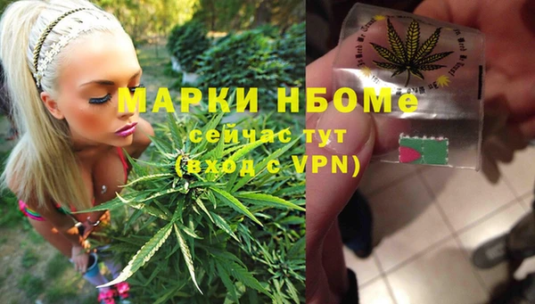 спайс Верея
