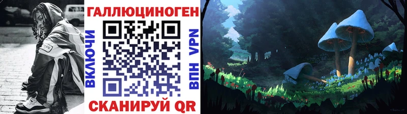 блэк спрут зеркало  Кировск  Псилоцибиновые грибы ЛСД 